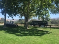 Fess Parker Picnic Area