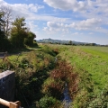 20180925_Glastonbury Tor in Back - Alysons Horse Riding Grounds